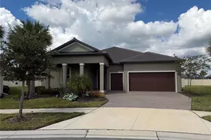 31875 Magna Gulf Loop, San Antonio, FL 33576 - Photo 1