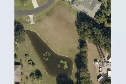 19915 Dolores Ann Court, Lutz, FL 33549 - Photo 3