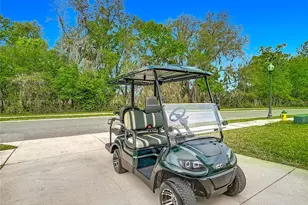 5274 Diantha Way, Brooksville, FL 34604 - Photo 55