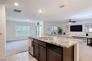 5274 Diantha Way, Brooksville, FL 34604 - Photo 17