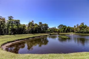10002 Oasis Palm Dr, Tampa, FL 33615 - Photo 65
