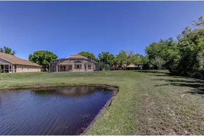 10002 Oasis Palm Drive, Tampa, FL 33615 - Photo 71