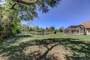 10002 Oasis Palm Dr, Tampa, FL 33615 - Photo 65