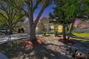 10310 Birdwatch Dr, Tampa, FL 33647 - Photo 3