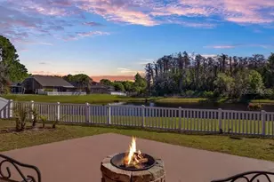 13305 Tiger Lilly Ln, Tampa, FL 33625 - Photo 3