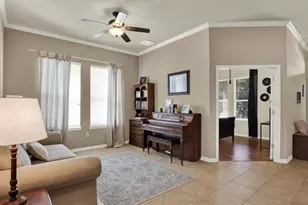 13305 Tiger Lilly Ln, Tampa, FL 33625 - Photo 7