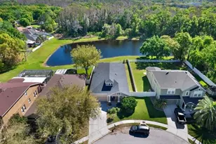 13305 Tiger Lilly Ln, Tampa, FL 33625 - Photo 5