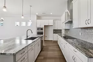 10707 Torchwood Sea Wy, San Antonio, FL 33576 - Photo 11