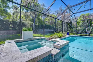 14712 Fishhawk Preserve Dr, Lithia, FL 33547 - Photo 51