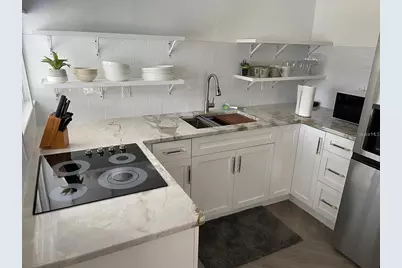 244 Iron Age Street, Safety Harbor, FL 34695 - Photo 5