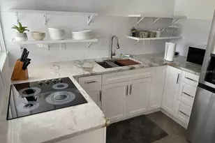 244 Iron Age St, Safety Harbor, FL 34695 - Photo 5