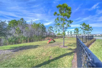 15982 Weathered Windmill Terrace, Odessa, FL 33556 - Photo 41