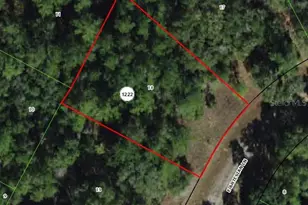 8518 N Escobar Rd, Dunnellon, FL 34434 - Photo 1