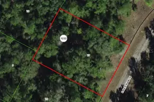 8516 N Escobar Rd, Dunnellon, FL 34434 - Photo 1