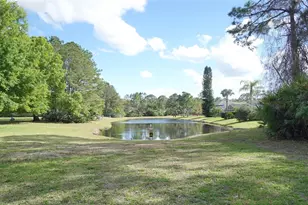 14330 Moon Flower Dr, Tampa, FL 33626 - Photo 37