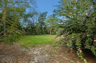 6890 Co Rd 95, Palm Harbor, FL 34684 - Photo 47