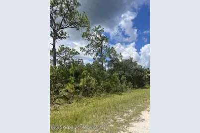 10194 Yellow Frog Avenue, Weeki Wachee, FL 34614 - Photo 1