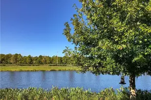 1941 Milkweed Trce, Lutz, FL 33558 - Photo 19