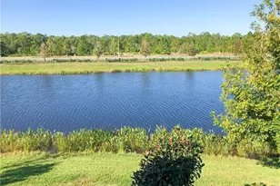 1941 Milkweed Trce, Lutz, FL 33558 - Photo 45