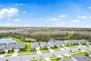 19469 Sea Glass Cir, Land O Lakes, FL 34638 - Photo 5