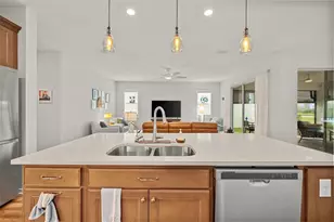 19469 Sea Glass Cir, Land O Lakes, FL 34638 - Photo 31