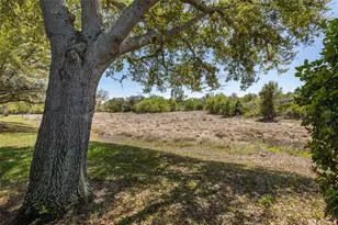 11142 Port Douglas Dr, New Port Richey, FL 34654 - Photo 39