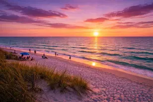 2970 68th Ave S, Saint Petersburg, FL 33712 - Photo 37