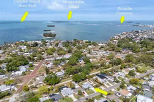 1840 Douglas Ave, Dunedin, FL 34698 - Photo 53