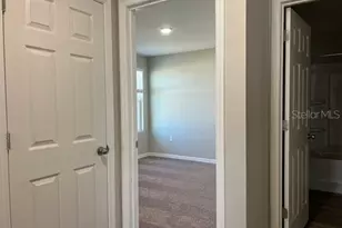 34137 Scarlet Sage Ct, Wesley Chapel, FL 33545 - Photo 15