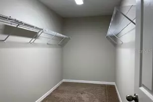 34137 Scarlet Sage Ct, Wesley Chapel, FL 33545 - Photo 17