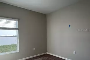 34137 Scarlet Sage Ct, Wesley Chapel, FL 33545 - Photo 27