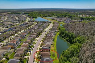 1695 Ludington Ave, Wesley Chapel, FL 33543 - Photo 57