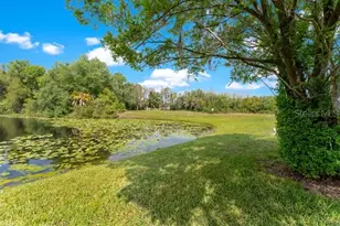 16110 Rambling Vine Dr W, Tampa, FL 33624 - Photo 37