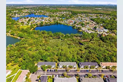 12316 Country White Circle, Tampa, FL 33635 - Photo 47