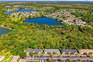 12316 Country White Cir, Tampa, FL 33635 - Photo 47