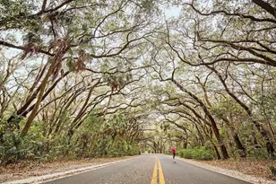 330 5th Ave N, Safety Harbor, FL 34695 - Photo 25