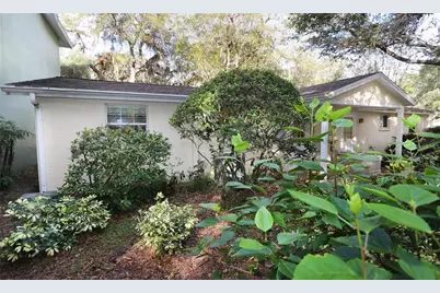 330 5th Avenue N, Safety Harbor, FL 34695 - Photo 19