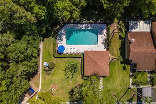 3960 Mermoor Dr, Palm Harbor, FL 34685 - Photo 45
