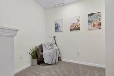 350 Mangrove Shade Circle, Apollo Beach, FL 33572 - Photo 23