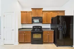 14211 Edinburgh Moor Dr, Wimauma, FL 33598 - Photo 5