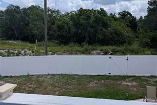 6817 Mitchell Cir, Tampa, FL 33634 - Photo 15