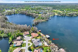 5643 White Ibis Ln, Land O Lakes, FL 34638 - Photo 53