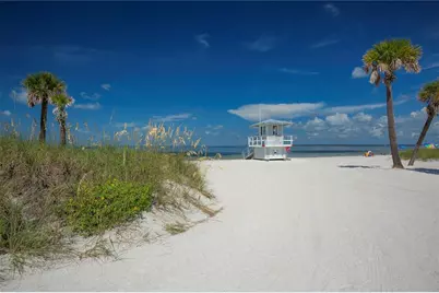 1640 Countrywood Street, Tarpon Springs, FL 34689 - Photo 47