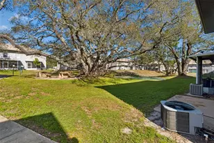 5182 Sunridge Palms Dr, Tampa, FL 33617 - Photo 67