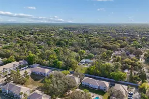 5182 Sunridge Palms Dr, Tampa, FL 33617 - Photo 81