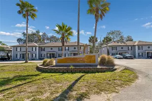 5182 Sunridge Palms Dr, Tampa, FL 33617 - Photo 85