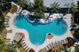 11922 Frost Aster Dr, Riverview, FL 33579 - Photo 67