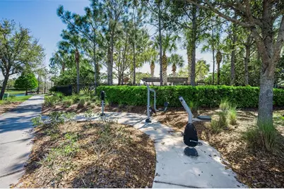 11922 Frost Aster Drive, Riverview, FL 33579 - Photo 89