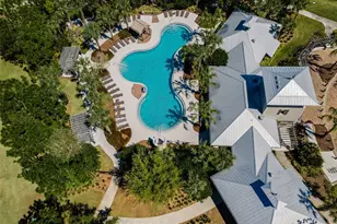 11922 Frost Aster Dr, Riverview, FL 33579 - Photo 71