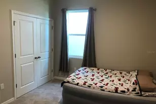 16634 Mooner Plank Cir, Wimauma, FL 33598 - Photo 15